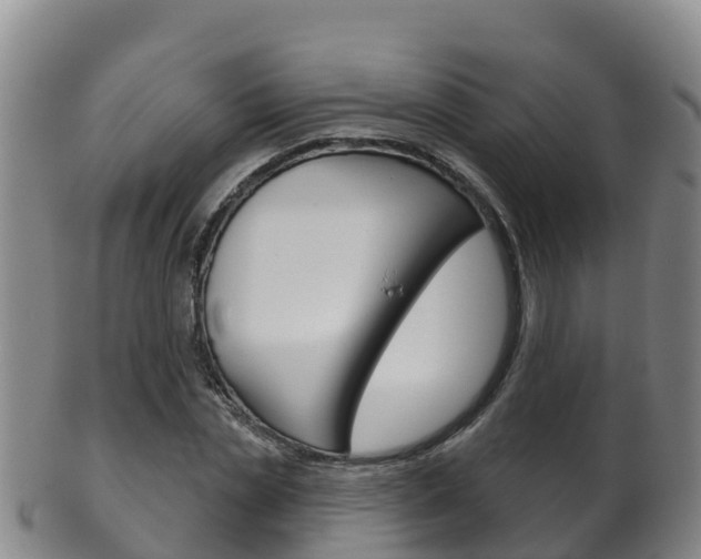 X0000102530829200808081050