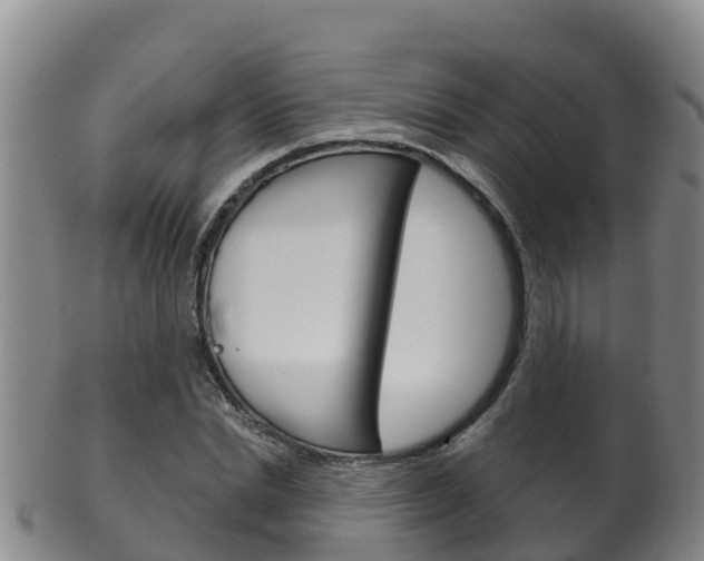 X0000102530830200808081050
