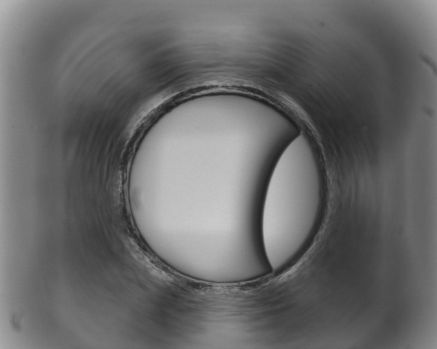 X0000102530831200808081050