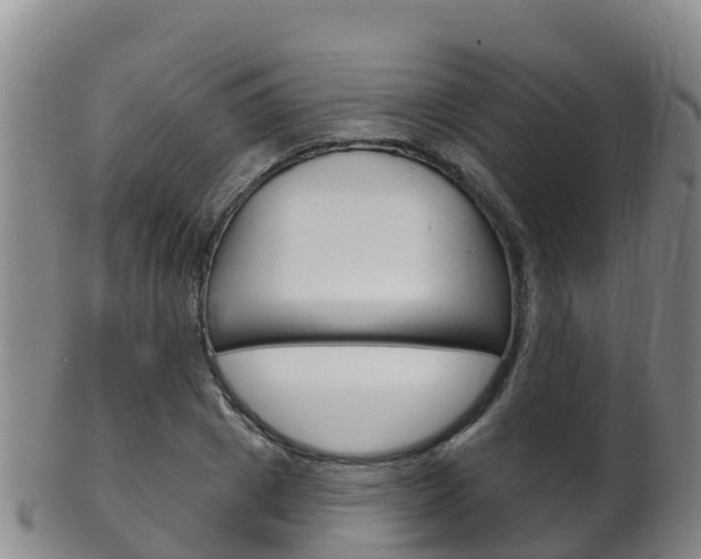 X0000102530833200808081050