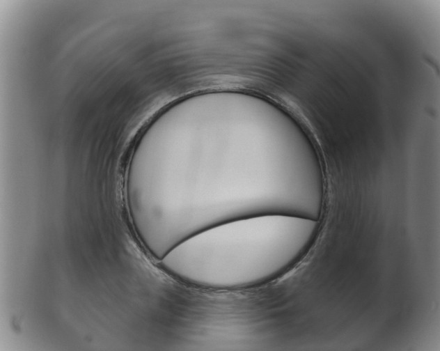 X0000102530835200808081050