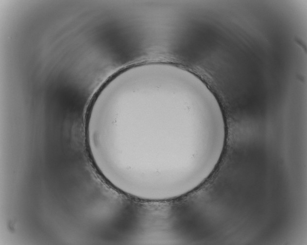 X0000102530836200808081050