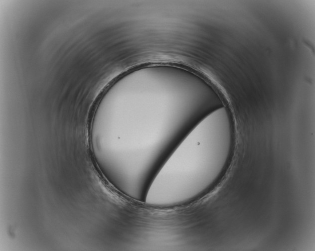 X0000102530837200808081050