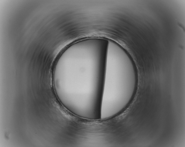 X0000102530838200808081050