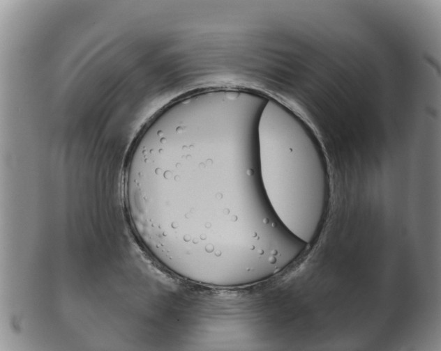 X0000102530839200808081050