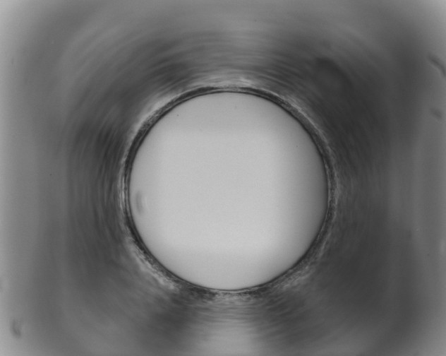 X0000102530840200808081050