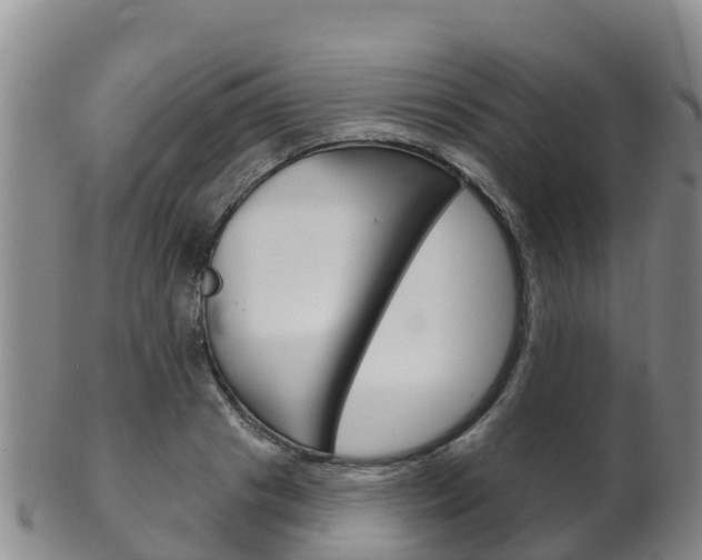 X0000102530841200808081050