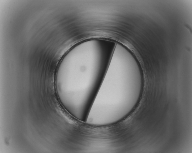 X0000102530842200808081050