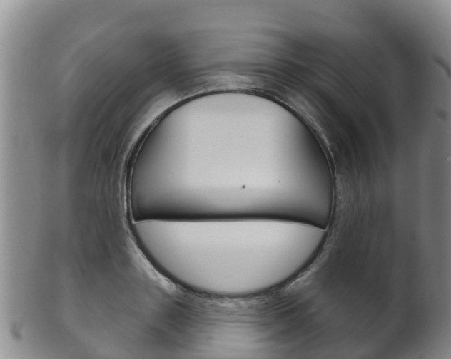 X0000102530843200808081050