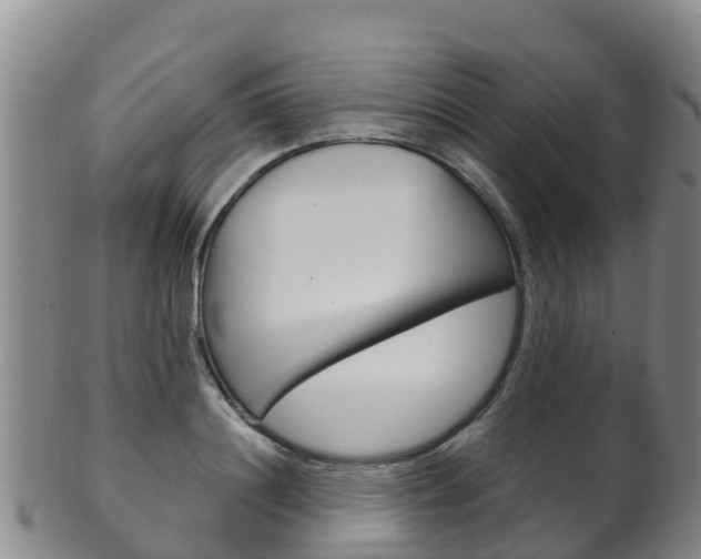 X0000102530844200808081050