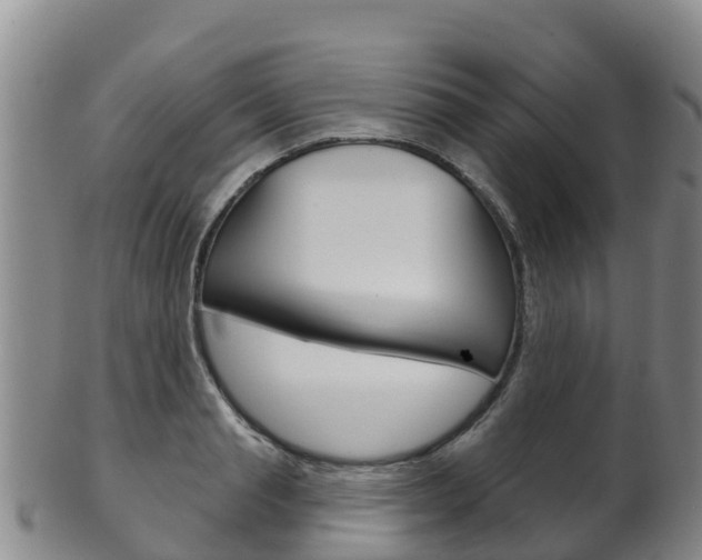 X0000102530845200808081050