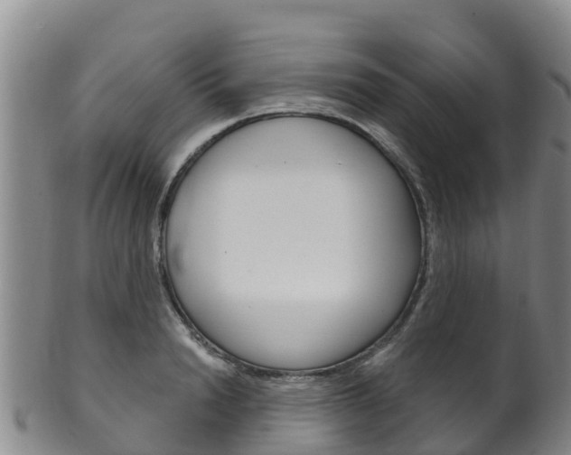 X0000102530846200808081050