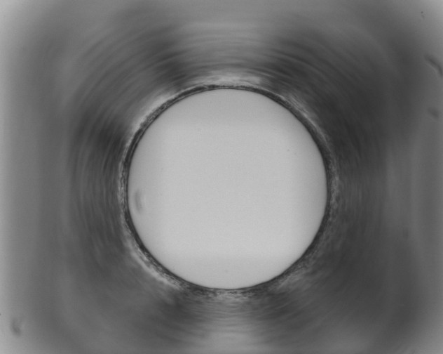 X0000102530848200808081050