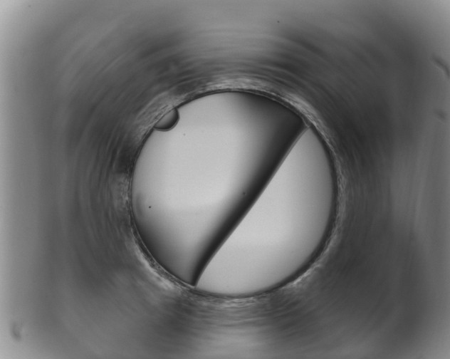 X0000102530849200808081051