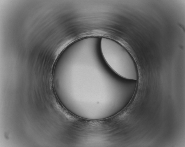 X0000102530850200808081051