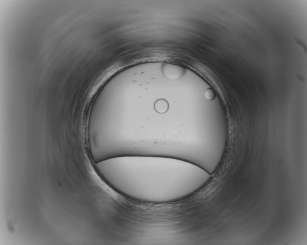 X0000102530851200808081051