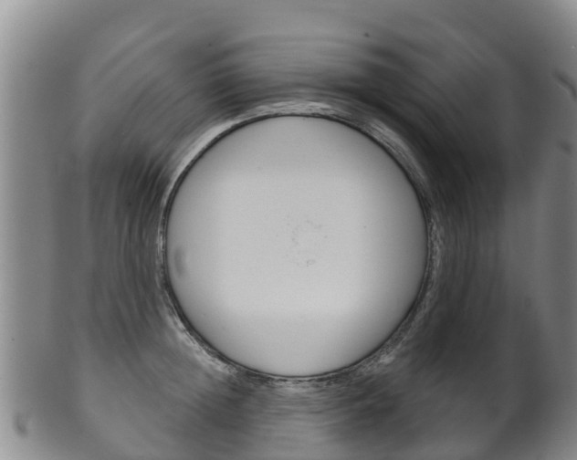 X0000102530852200808081051