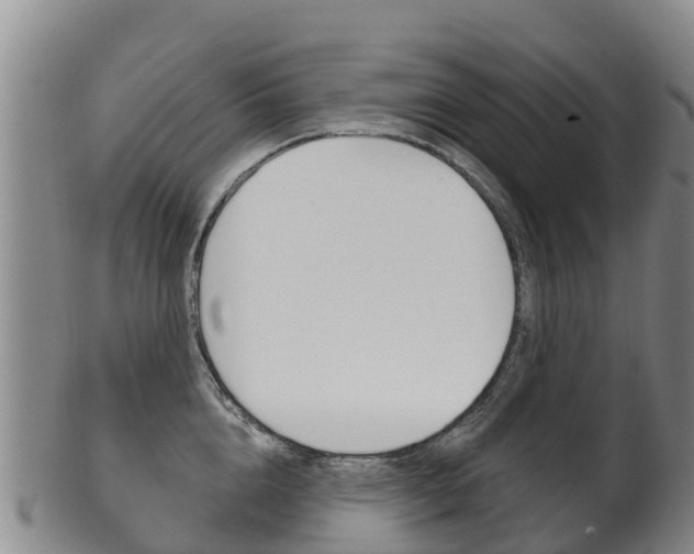 X0000102530856200808081051
