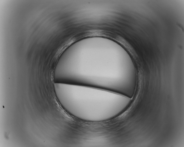 X0000102530857200808081051