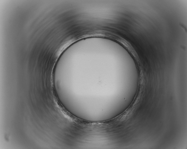 X0000102530858200808081051