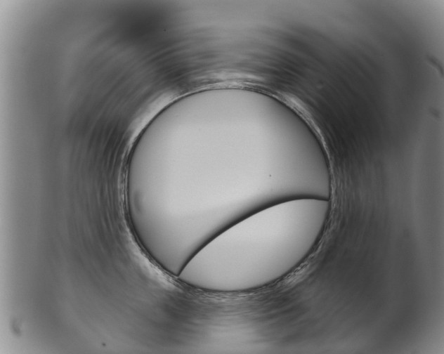 X0000102530859200808081051