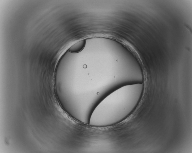 X0000102530860200808081051