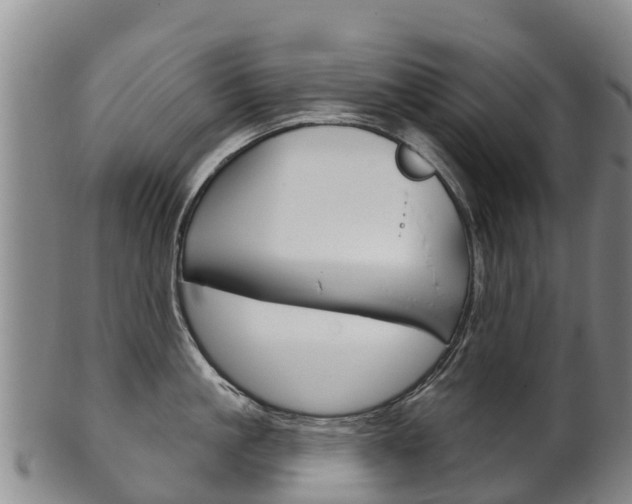 X0000102530861200808081051