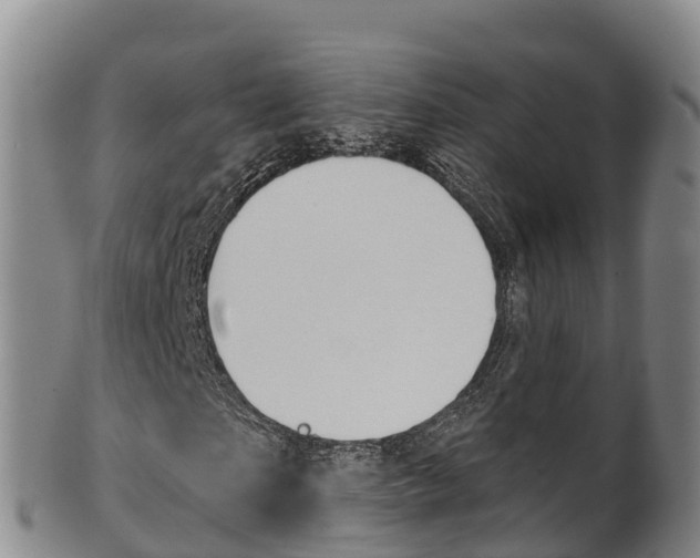 X0000102530865200808081050