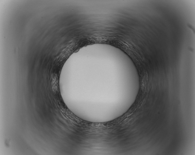 X0000102530866200808081050