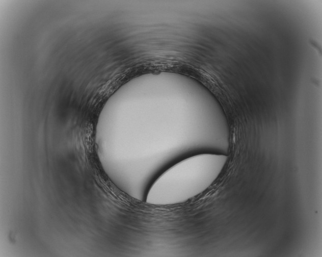 X0000102530867200808081050