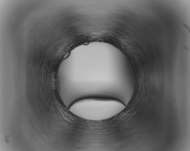 X0000102530868200808081050