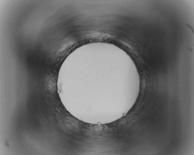 X0000102530869200808081050