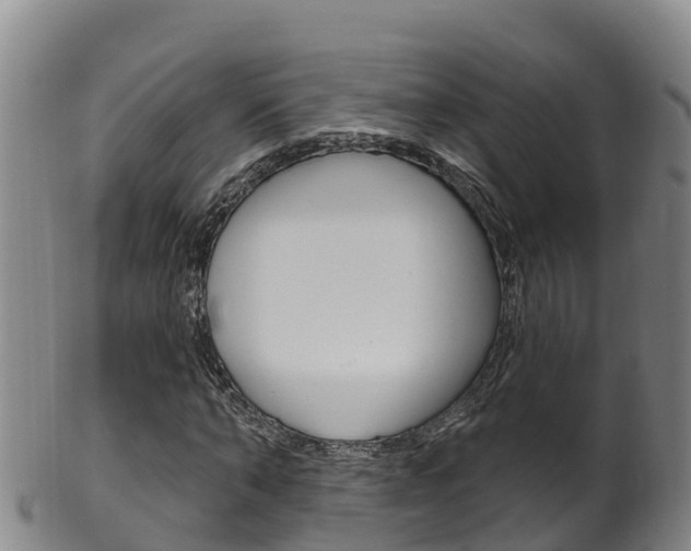 X0000102530870200808081050