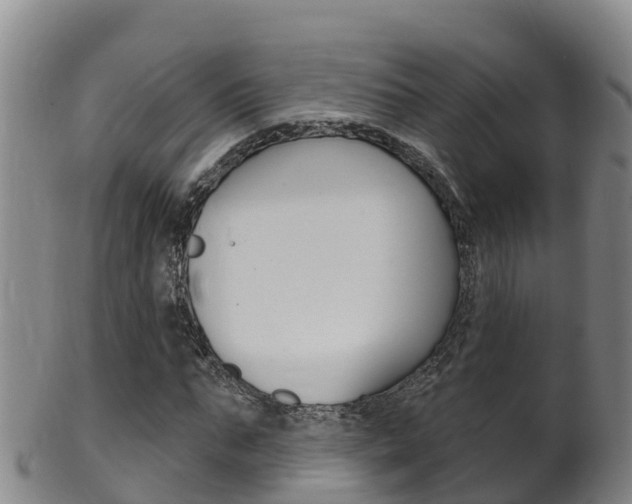 X0000102530871200808081050