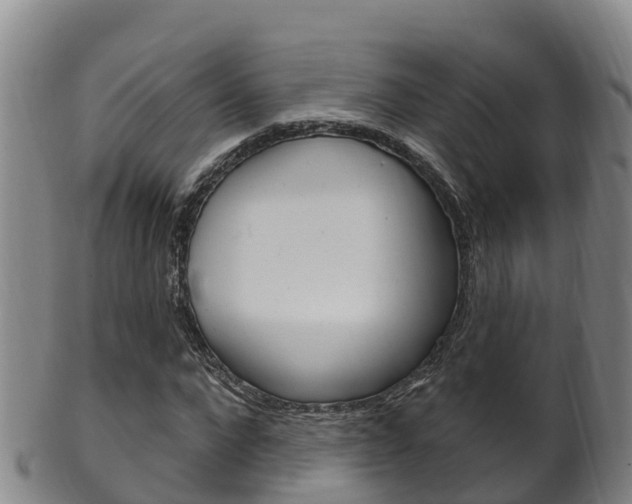 X0000102530872200808081050