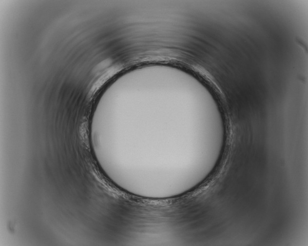 X0000102530874200808081050