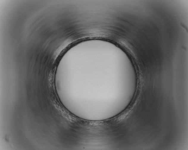 X0000102530875200808081050