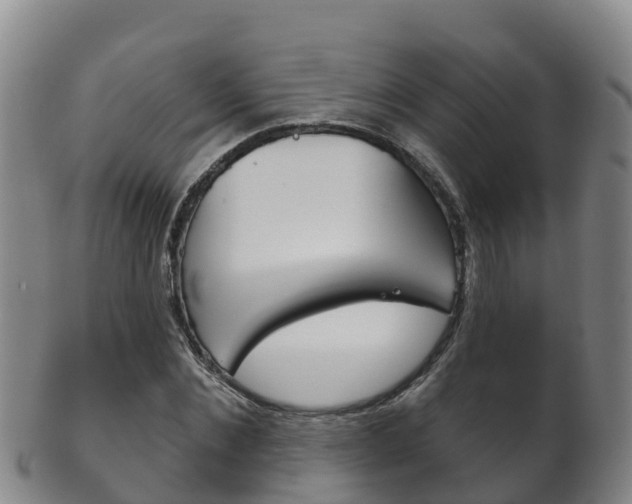 X0000102530876200808081050