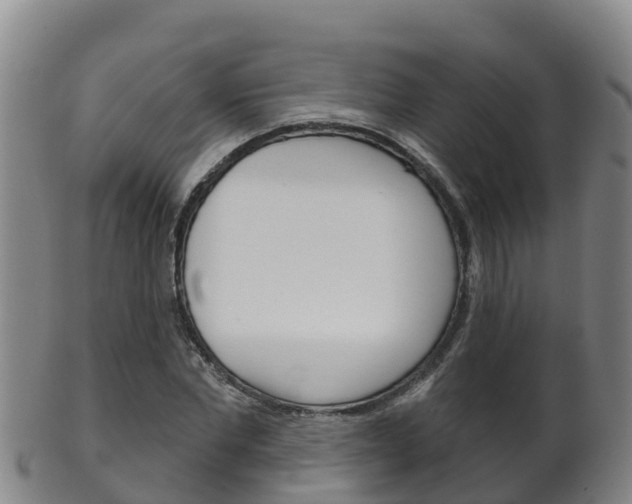 X0000102530877200808081050