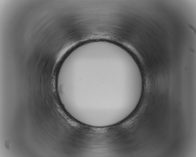 X0000102530878200808081050