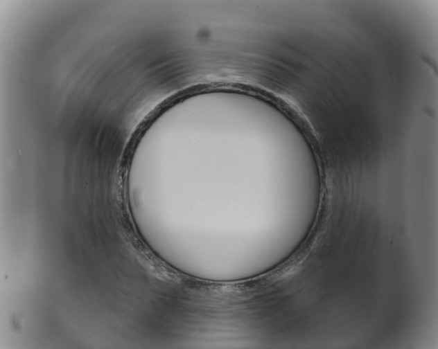 X0000102530879200808081050