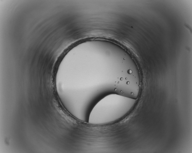 X0000102530880200808081050