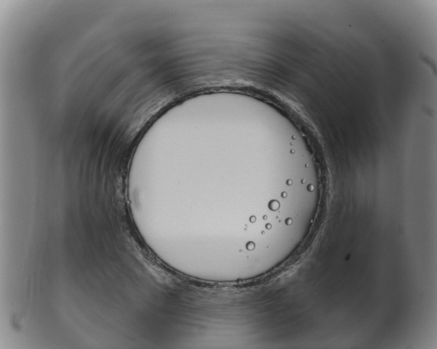 X0000102530881200808081050
