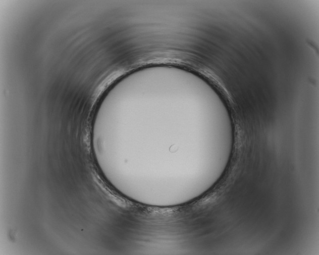 X0000102530882200808081050