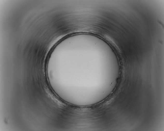 X0000102530884200808081050