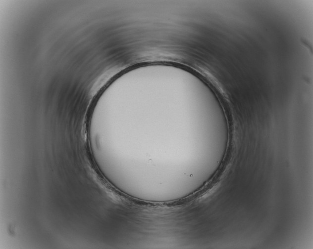 X0000102530885200808081050