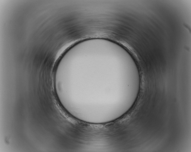 X0000102530886200808081050