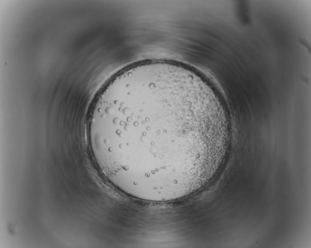 X0000102530887200808081050