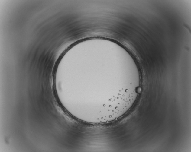 X0000102530888200808081050