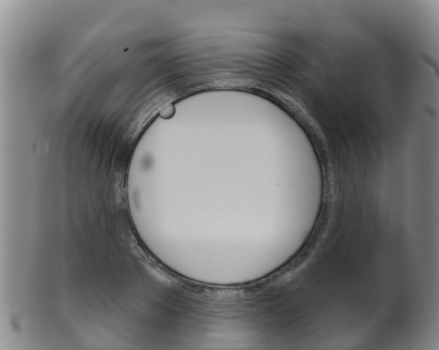 X0000102530889200808081050